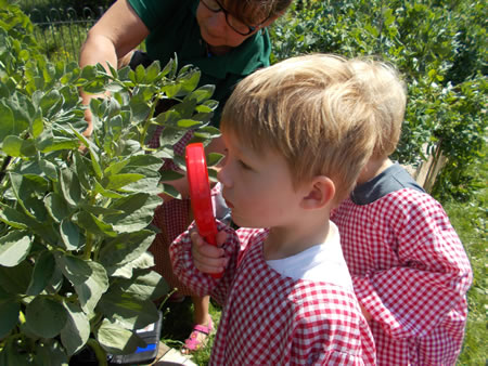 We looked for ladybirds